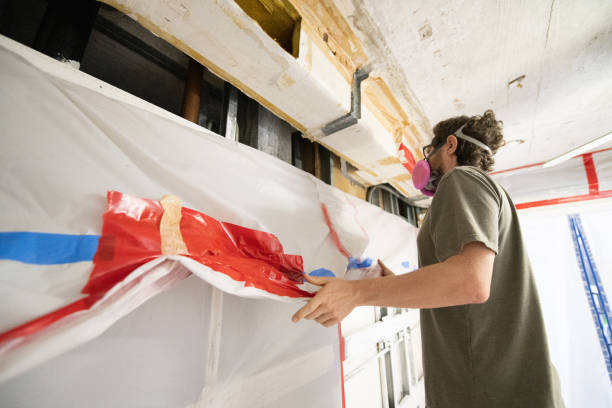 Best Attic Mold Removal  in USA